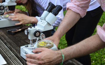 EDUCAÇÃO AMBIENTAL